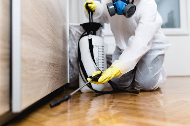 Best Affordable Pest Control Services  in Vicksburg, MS