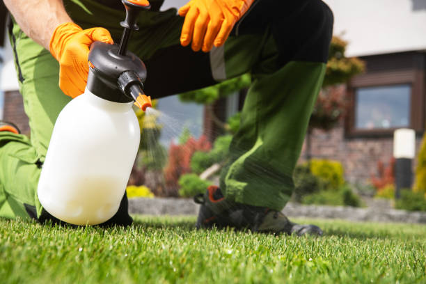 Best Bed Bug Extermination  in Vicksburg, MS