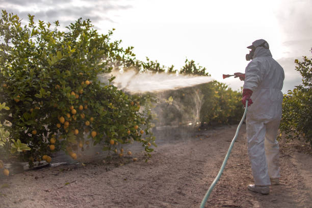 Best Pest Prevention Services  in Vicksburg, MS
