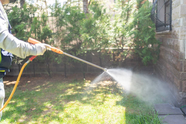 Best Best Pest Control Companies  in Vicksburg, MS