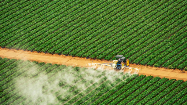 Best Best Pest Control Near Me  in Vicksburg, MS