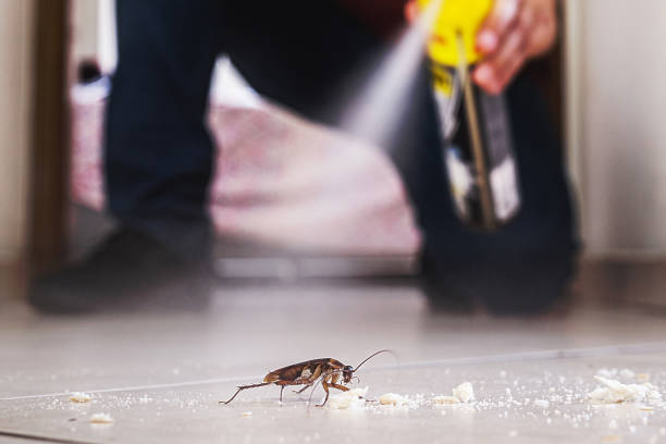 Best Residential Pest Control  in Vicksburg, MS