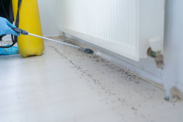 Best Mosquito Control Services  in Vicksburg, MS